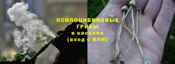 амф Александровское