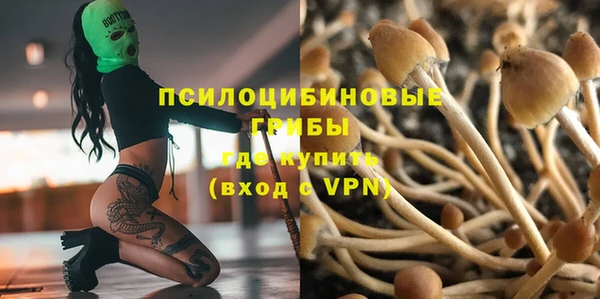 амф Александровское