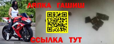 гидра Бийск