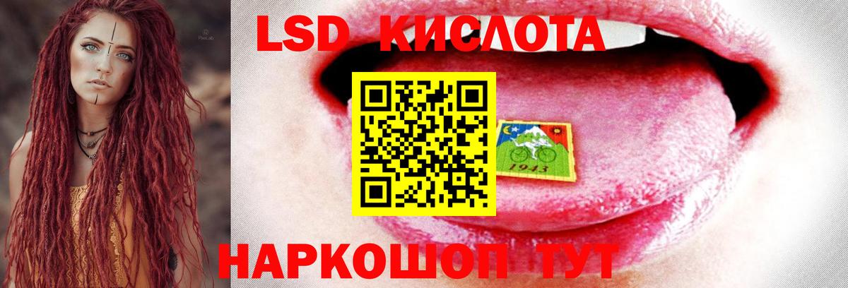 Псилоцибиновые грибы Невинномысск