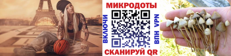 Псилоцибиновые грибы мухоморы  хочу наркоту  Невинномысск 