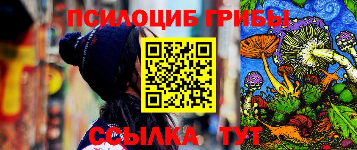 Галлюциногенные грибы Psilocybe  Псилоцибиновые грибы Psilocybine cubensis  Невинномысск 